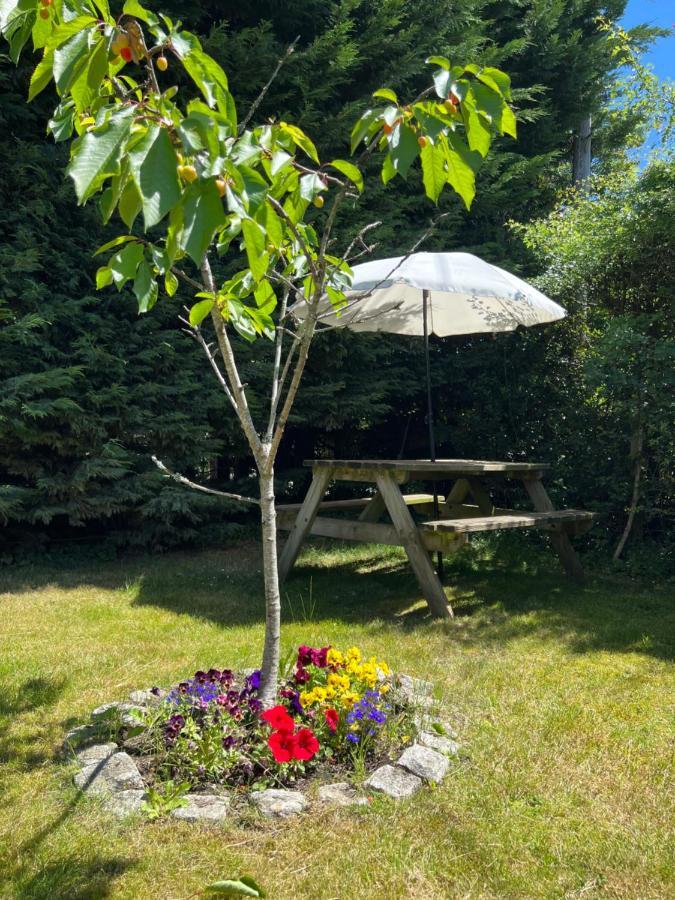 New Forest Hideaway- Self Catering Accommodation Newbridge (Isle of Wight) Exterior foto