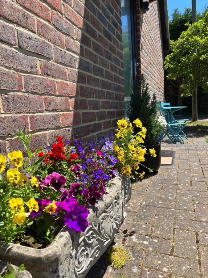New Forest Hideaway- Self Catering Accommodation Newbridge (Isle of Wight) Exterior foto